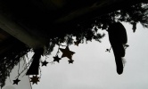2015-11-29_Adventssingen-Wallgau_ (10)