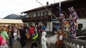 Festival der Tiere Wallgau 08.02.2016 (69)