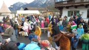 Festival der Tiere Wallgau 08.02.2016 (77)